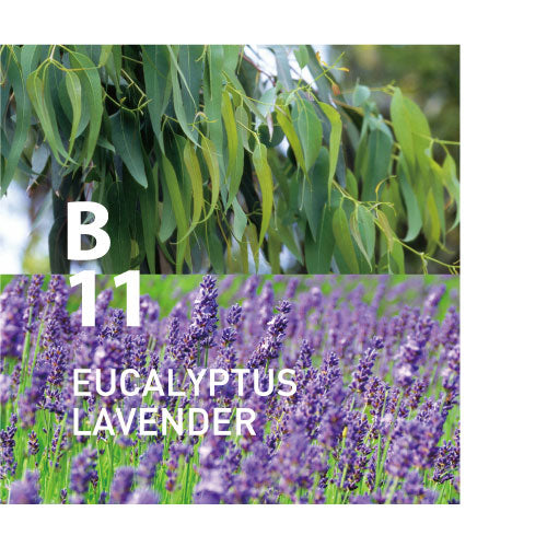 piezo diffuser aroma oil - Botanical air (limited availability)