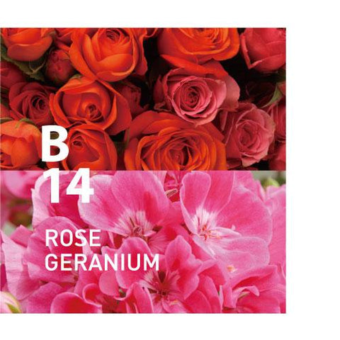 B14 ROSE GERANIUM