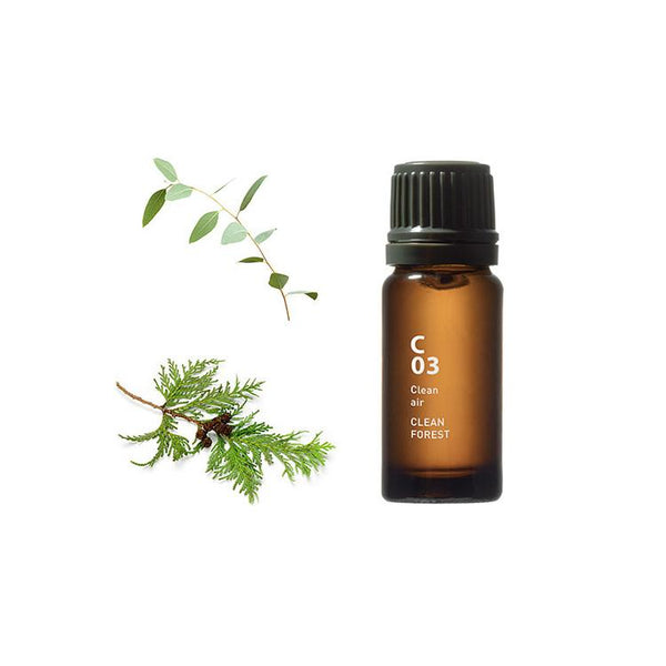 C03 CLEAN FOREST