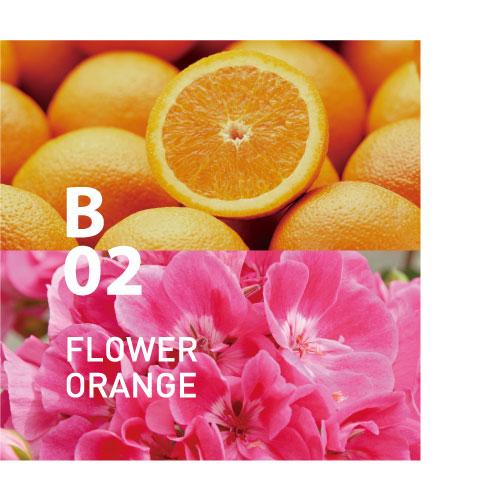 Botanical air - B02 FLOWER ORANGE