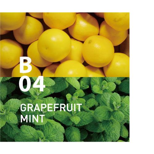 B04 GRAPEFRUIT MINT (Piezo)