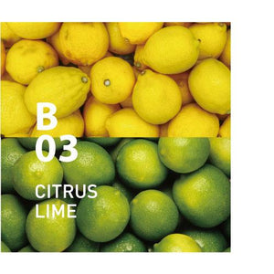 B03 CITRUS LIME