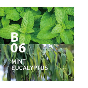 B06 MINT EUCALYPTUS