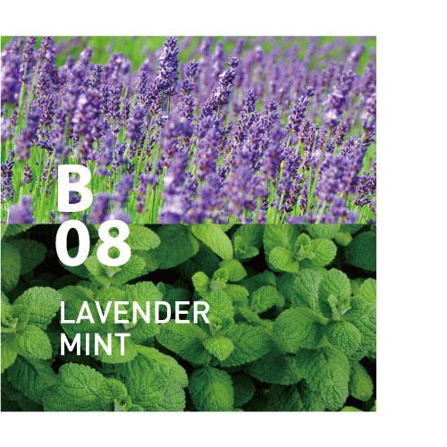 B08 LAVENDER MINT