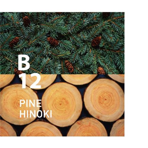 B12 PINE HINOKI
