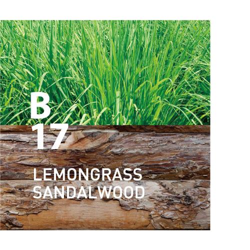 B17 LEMONGRASS SANDALWOOD