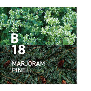 B18 MARJORAM PINE