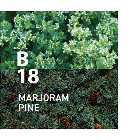 B18 MARJORAM PINE