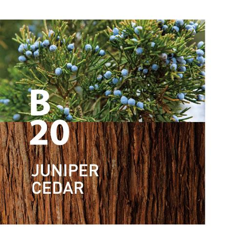 B20 JUNIPER CEDAR