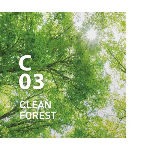 C03 CLEAN FOREST
