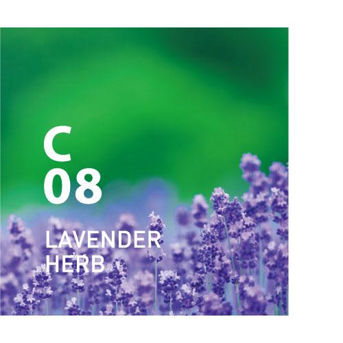 lavender peppermint tea tree blend C08 LAVENDER HERB | Essential oil blend