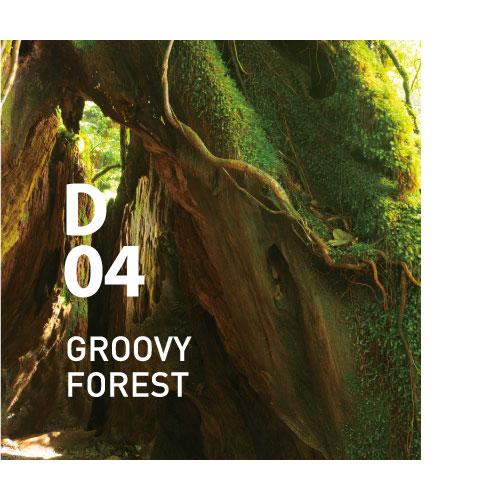 D04 GROOVY FOREST