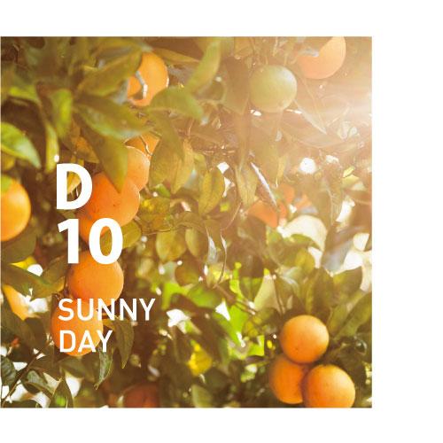 D10 SUNNY DAY