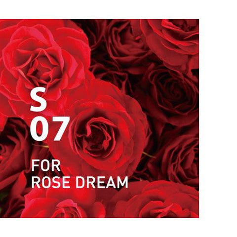 S07 FOR ROSE DREAM