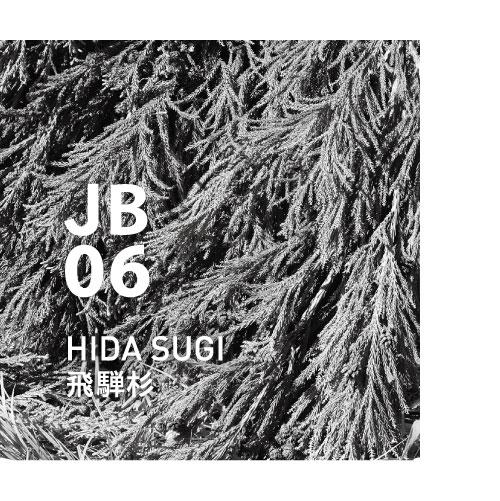 JB06 HIDA SUGI