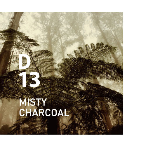 D13 MISTY CHARCOAL