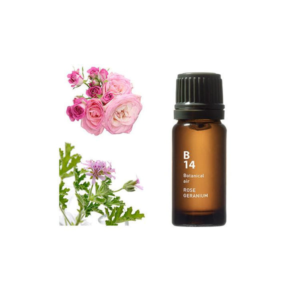 B14 ROSE GERANIUM